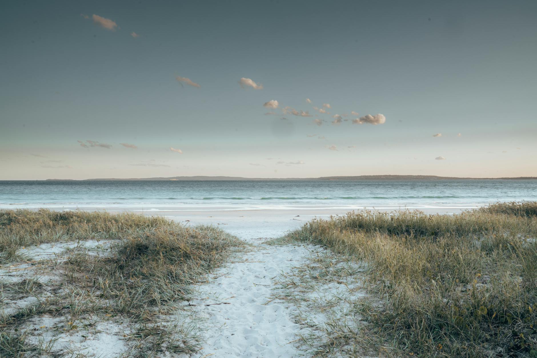 Sunday Chapters – Life Between the Lines: Where the Magic Waits