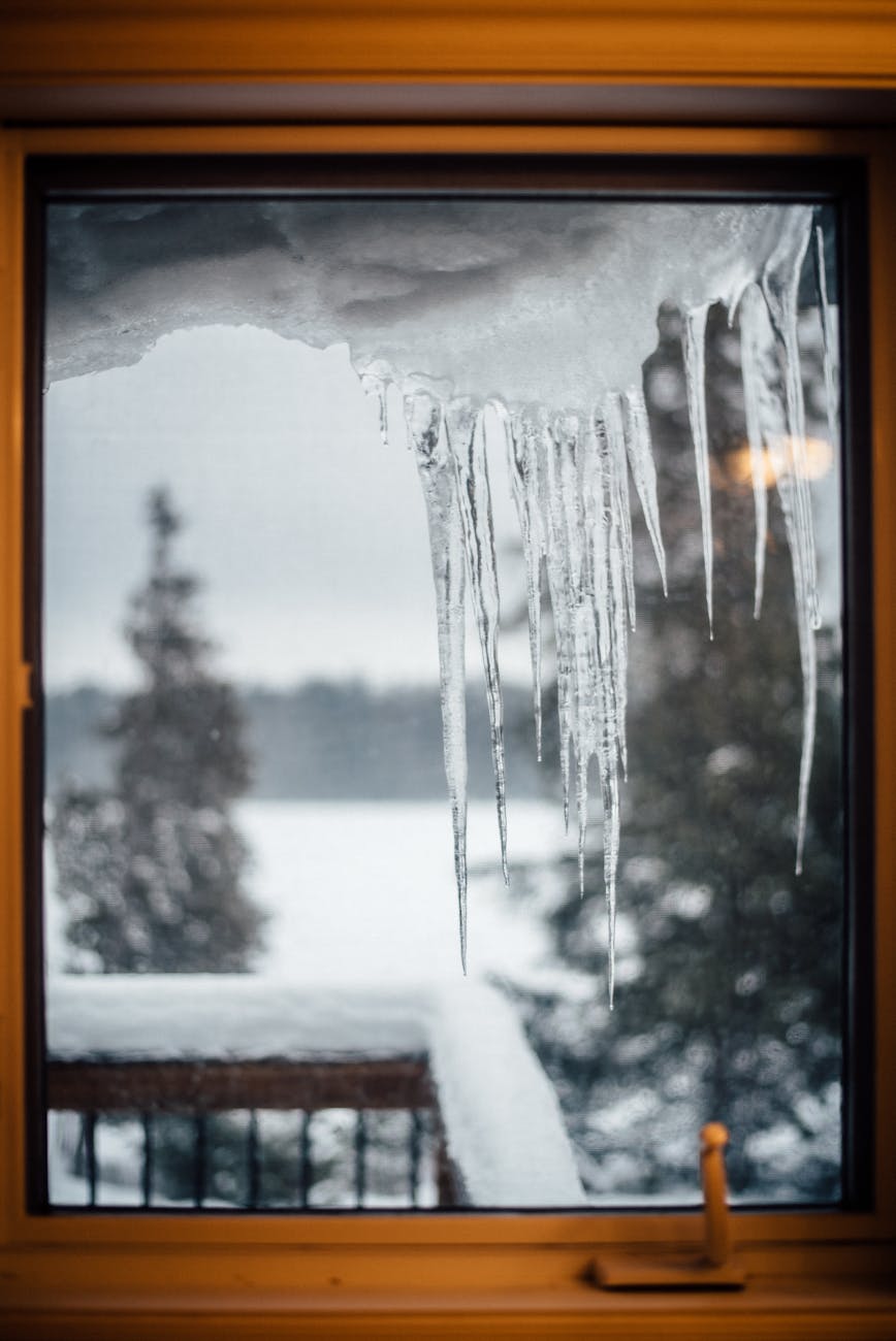 Sunday Chapters – Life Between the Lines: In the Quiet of January