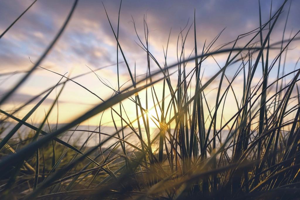 Sunday Chapters: Life Between The Lines: What Silence Shows Us