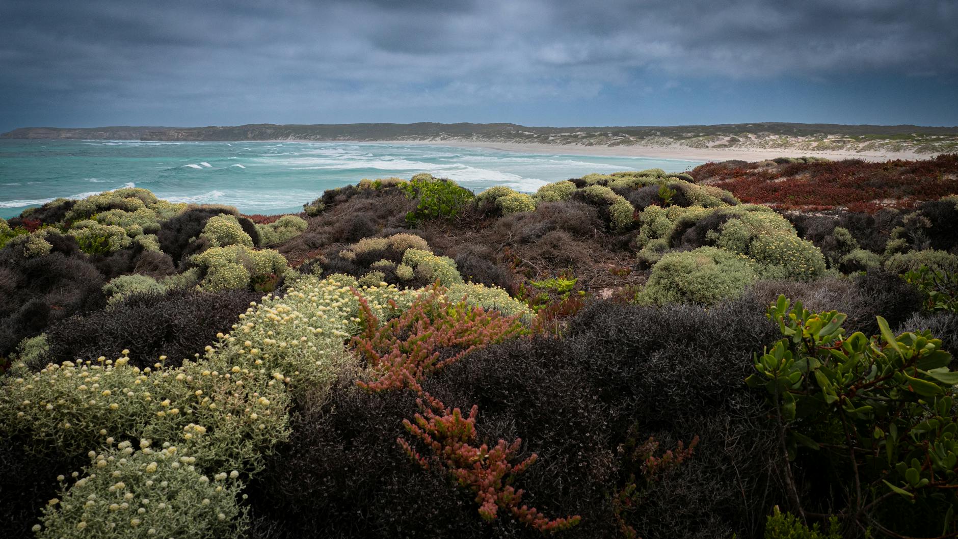 Sunday Chapters: Life Between The Lines – Luck, Light, and the Paths We Choose